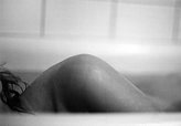 bilder